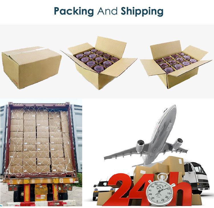 hyindoor bulb glass vase 11